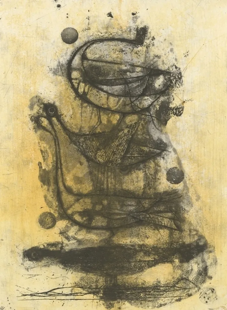 Sale Boutiques de musées Estampe Oiseaux - Johnny Friedlaender