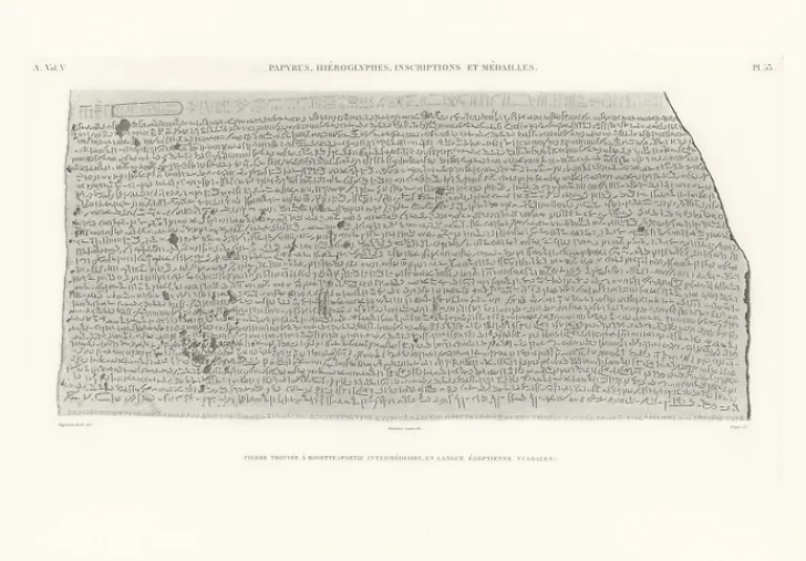 Online Boutiques de musées Estampe Pierre de rosette Partie centrale - Égyptien démotique