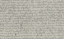 Online Boutiques de musées Estampe Pierre de rosette Partie centrale - Égyptien démotique