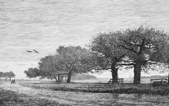 Online Boutiques de musées Estampe Pommiers à Damville (Eure) - Emile-Frédéric Nicolle