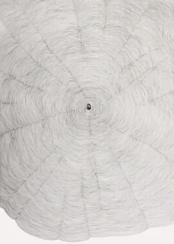 Boutiques de musées Créations Contemporaines-Estampe Propagazione - Giuseppe Penone 2009