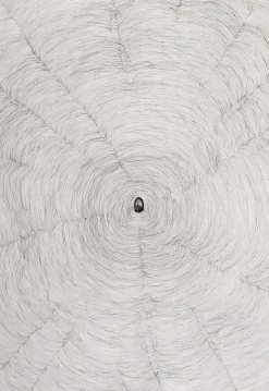 Boutiques de musées Créations Contemporaines-Estampe Propagazione - Giuseppe Penone 2009