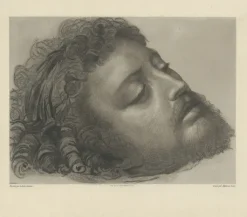 Boutiques de musées Chefs D'Œuvre Des Musées-Estampe Saint Jean-Baptiste - Andrea Solario