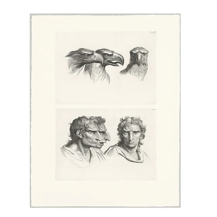 Online Boutiques de musées Estampe Trois têtes d'aigle et trois têtes d'hommes en relation avec l'aigle