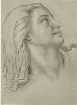 Boutiques de musées Dessins|Chefs D'Œuvre Des Musées-Estampe Tête de femme