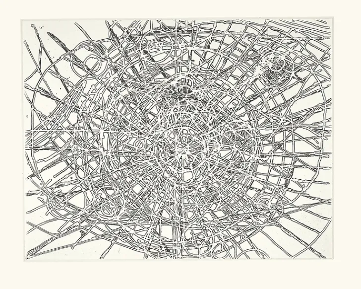 Boutiques de musées Créations Contemporaines-Estampe Untitled Louvre - Terry Winters 2001