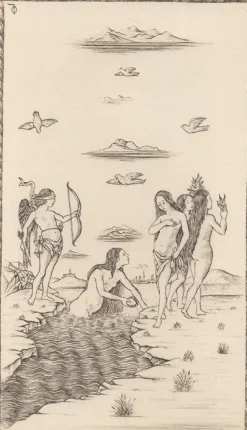 Boutiques de musées Art Moderne-Estampe Vénus, carte 43, Le Tarot de Mantegna - Cécile Reims