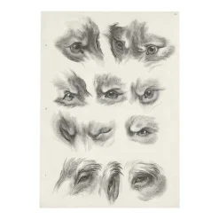 Boutiques de musées Dessins-Estampe Yeux de loup, de renard et de pourceau