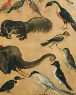 Boutiques de musées Toiles Sur Châssis-Etude d'animaux (toiles sur châssis)