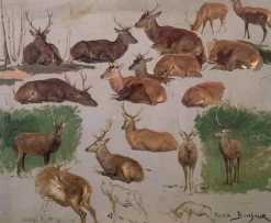 Online Boutiques de musées Etude de cerf ; 19 esquisses (affiches d'art)