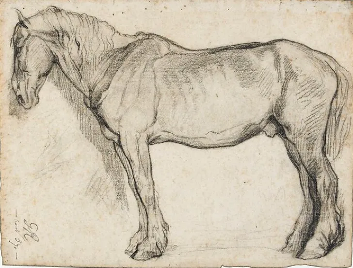 Boutiques de musées Panneaux Acryliques|Toiles Sur Châssis-Etude de cheval (panneaux acryliques)