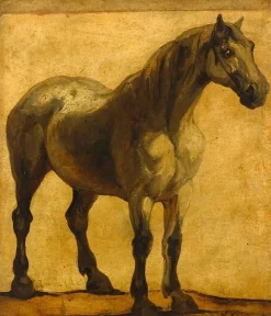 Boutiques de musées Etude de cheval (toiles sur châssis)