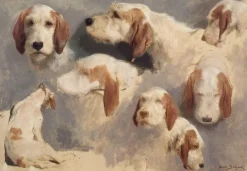 Boutiques de musées Toiles Sans Cadre|Affiches D'Art Encadrées-Etude de chien de chasse ; 8 esquisses (toiles sans cadre)