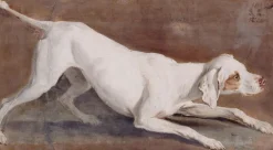 Boutiques de musées Affiches D'Art Encadrées-Etude de chienne blanche "Tane" (affiches d'art encadrées)