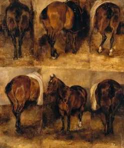 Best Boutiques de musées Etudes de chevaux (toiles sur châssis)