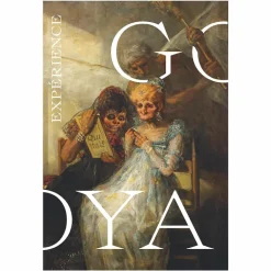 Boutiques de musées Catalogues D'Exposition-Expérience Goya - Catalogue d'exposition