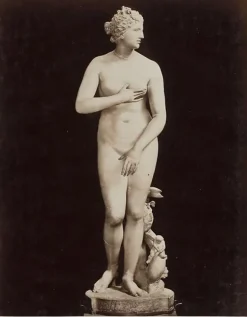 Boutiques de musées Firenze - Galleria Uffizi, la Venere de' Medici (Cléomène) (panneaux aluminium)