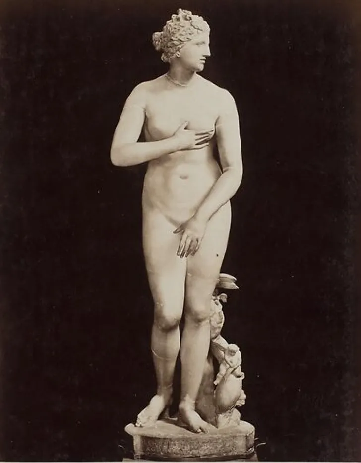 Boutiques de musées Firenze - Galleria Uffizi, la Venere de' Medici (Cléomène) (panneaux aluminium)