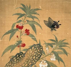 Outlet Boutiques de musées Fleurs et insectes (affiches d'art encadrées)