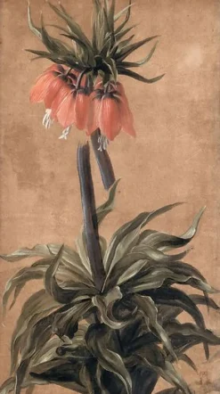 Discount Boutiques de musées Fritillaire (panneaux aluminium)