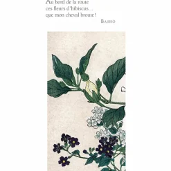 Boutiques de musées Livres D'Art-Haïkus. En fleurs