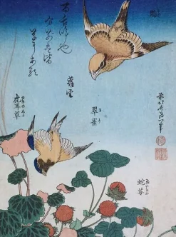 Boutiques de musées Panneaux Acryliques|Toiles Encadrées-Hirondelle et pie sur fraisier et bégonia (panneaux acryliques)