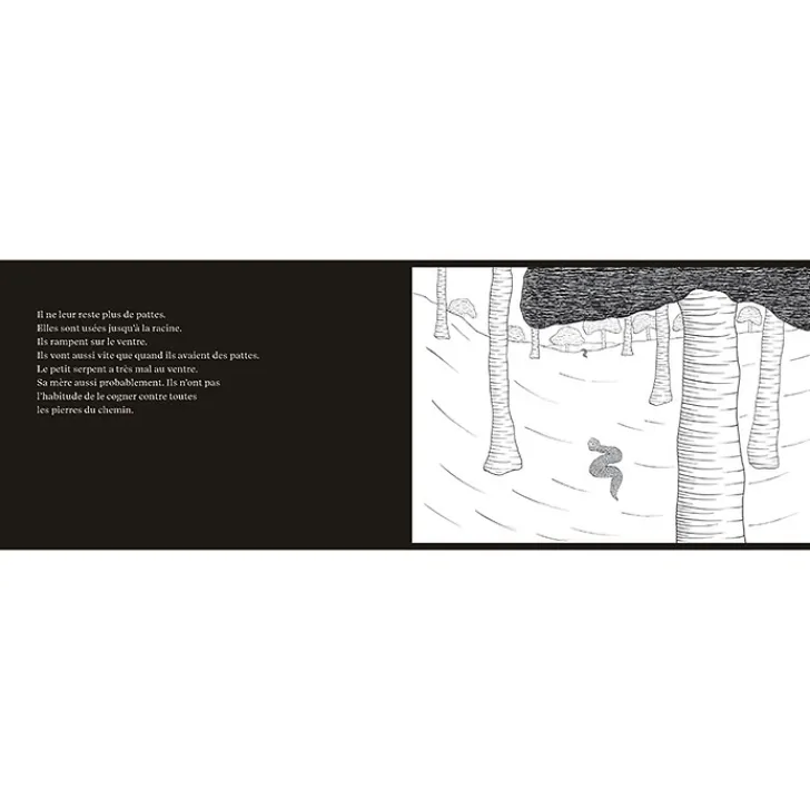 Boutiques de musées Livres Jeunesse-Histoire du petit serpent - Léopold Chauveau