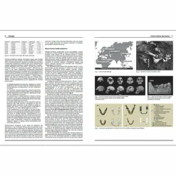 Boutiques de musées Catalogues D'Exposition-Homo faber - 2 millions d'années d'histoire de la pierre taillée - De l'Afrique aux portes de l'Europe - Catalogue d'exposition