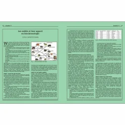 Boutiques de musées Catalogues D'Exposition-Homo faber - 2 millions d'années d'histoire de la pierre taillée - De l'Afrique aux portes de l'Europe - Catalogue d'exposition