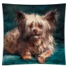 Online Boutiques de musées Housse de coussin Rosa Bonheur - Toutou, le bien-aimé - 45 x 45 cm