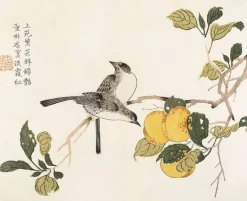 Hot Boutiques de musées Jardin du grain de moutarde (toiles sur châssis)