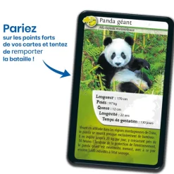 Boutiques de musées Jeux-Jeu de cartes Défis nature - Asie - Bioviva