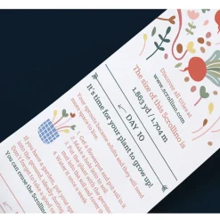 Hot Boutiques de musées Kit de culture Scrollino Sprouts - Radis