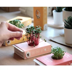 Hot Boutiques de musées Kit de culture Scrollino Sprouts - Radis