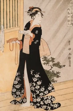 Online Boutiques de musées Komachi demandant la pluie (panneaux aluminium)