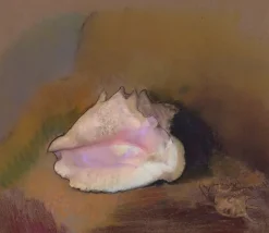 Outlet Boutiques de musées La Coquille : en bas à droite, petit coquillage, dans l'ombre (panneaux acryliques)