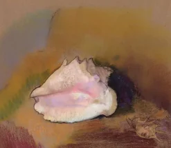 Sale Boutiques de musées La Coquille (détail) (panneaux aluminium)