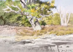 Hot Boutiques de musées La Mare aux fées à Fontainebleau (panneaux aluminium)