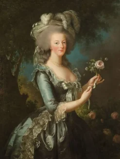 Outlet Boutiques de musées La reine Marie-Antoinette dit "à la Rose" (panneaux aluminium)