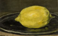 Best Boutiques de musées Le Citron (toiles encadrées)