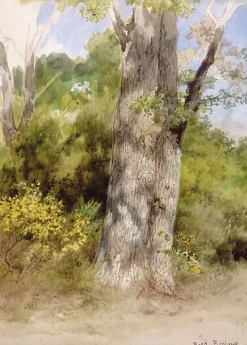 Boutiques de musées Panneaux Aluminium|Panneaux Acryliques-Le Gros Chêne (panneaux aluminium)