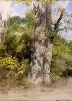 Boutiques de musées Affiches D'Art Encadrées|Affiches D'Art-Le Gros chêne-recto (affiches d'art encadrées)