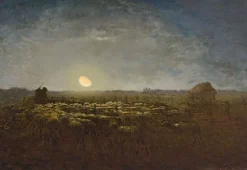 Discount Boutiques de musées Le parc à moutons, clair de lune (panneaux aluminium)