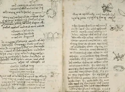 Outlet Boutiques de musées Le vent et les nuages. La mouche (panneaux aluminium)