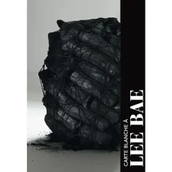 Hot Boutiques de musées Lee Bae