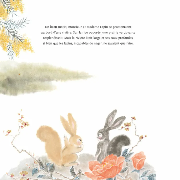 Boutiques de musées Livres Jeunesse-Les lapins et la tortue