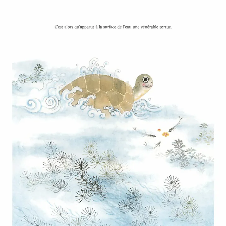 Boutiques de musées Livres Jeunesse-Les lapins et la tortue