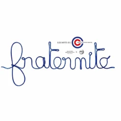 Discount Boutiques de musées Les mots du Conseil constitutionnel - Fraternité Bleu