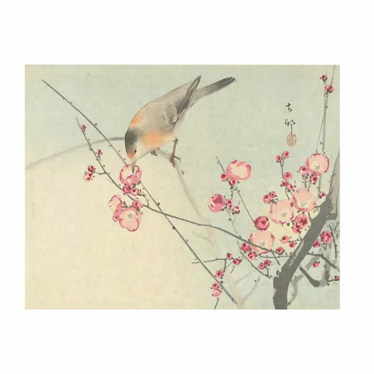 Hot Boutiques de musées Les oiseaux par les grands maîtres de l'estampe japonaise
