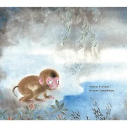 Boutiques de musées Livres Jeunesse-Les singes et la lune